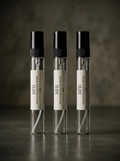 Travel Spray Trio